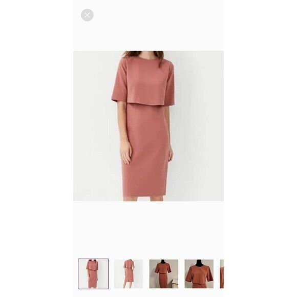 Ann Taylor overlay sheath dress in terracotta, NWT, Sz. 10 - Picture 1 of 10